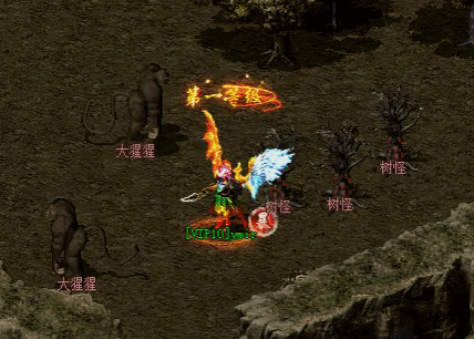 坐骑幻化